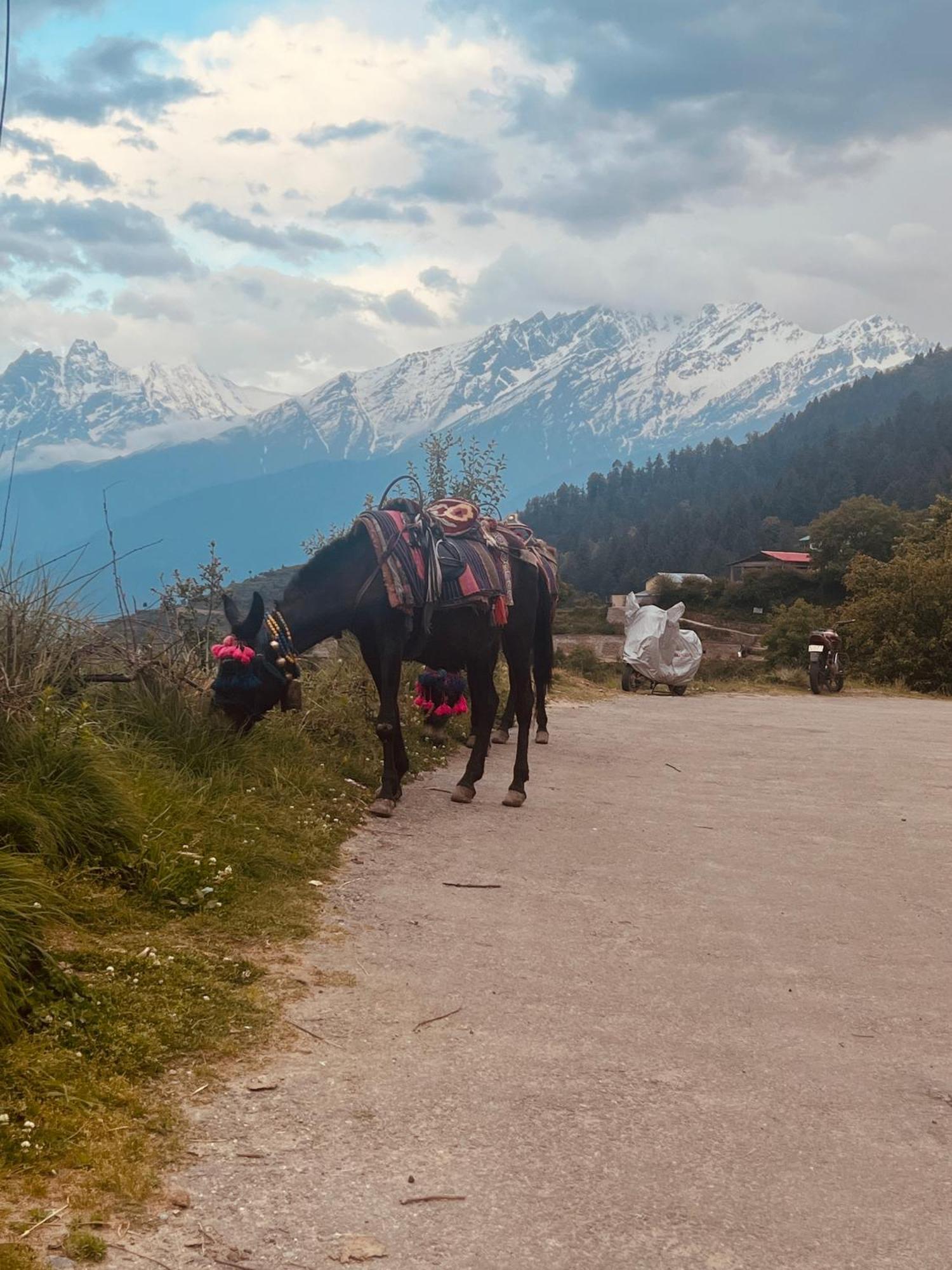 Faraway Cottages, Auli Joshimath Luaran gambar