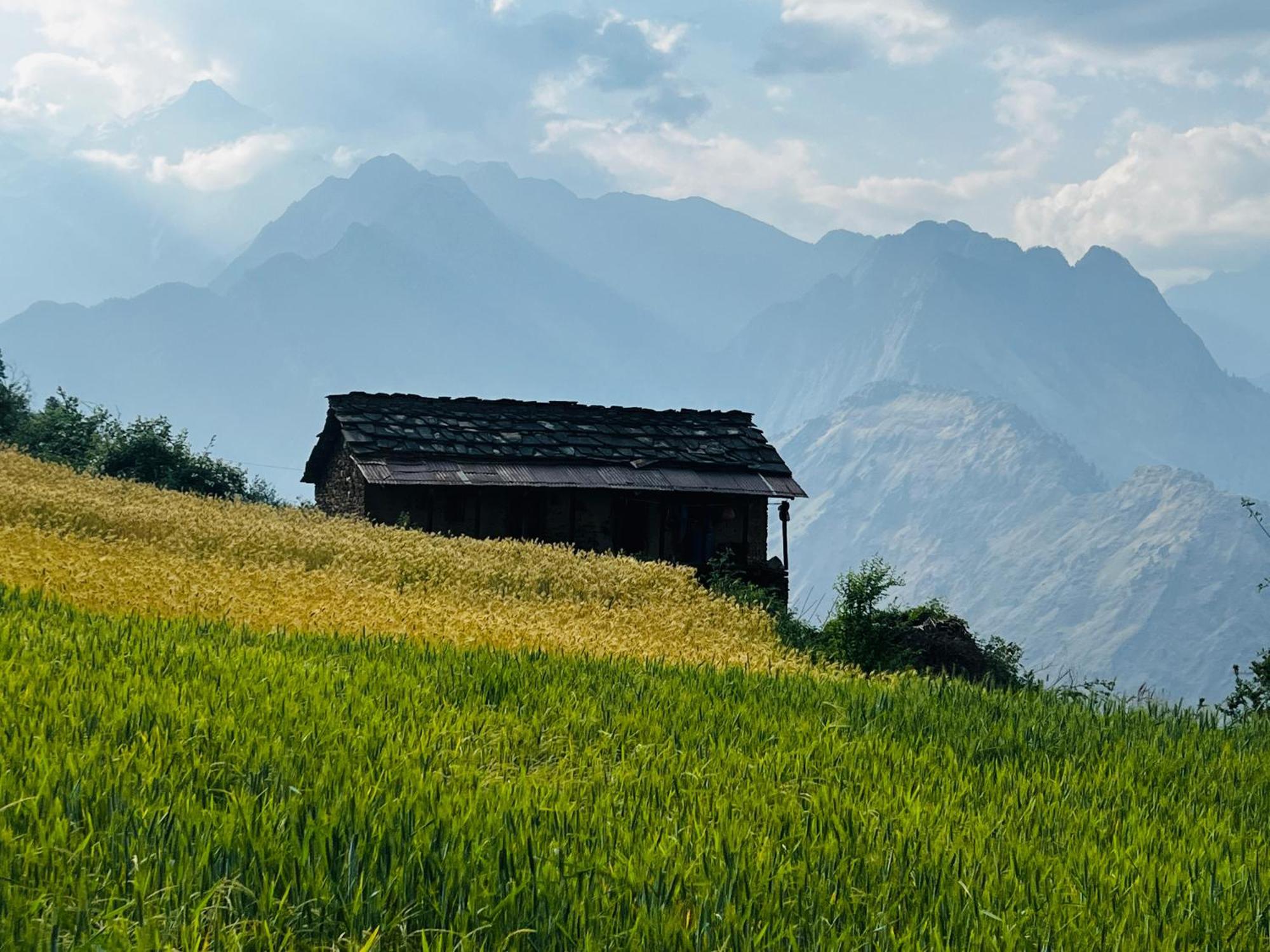 Faraway Cottages, Auli Joshimath Luaran gambar